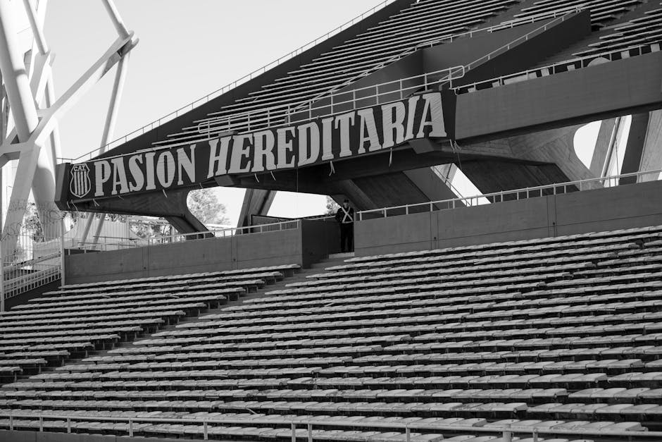 abdominoplastia Córdoba